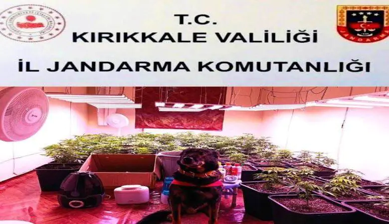 Ovacık Mahallesinde Evde Sera Kurup Uyuşturucu Üretti - Kırıkkale Haber, Son Dakika Kırıkkale Haberleri