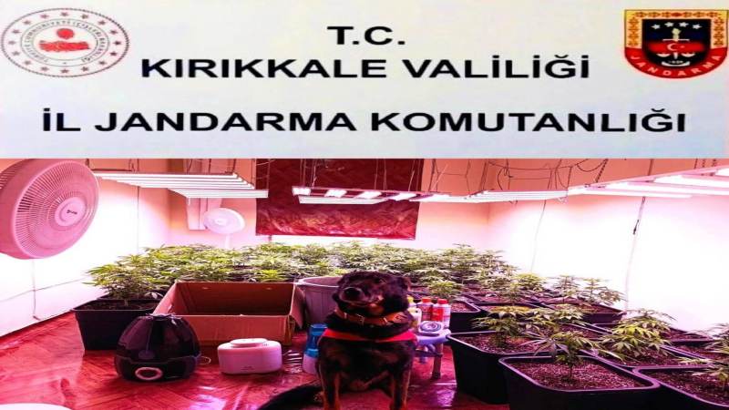 Ovacık Mahallesinde Evde Sera Kurup Uyuşturucu Üretti - Kırıkkale Haber, Son Dakika Kırıkkale Haberleri