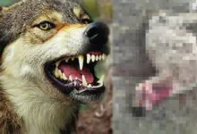 Kırıkkale’de korkunç olay! - Kırıkkale Haber, Son Dakika Kırıkkale Haberleri