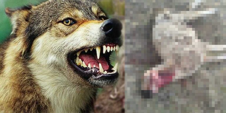 Kırıkkale’de korkunç olay! - Kırıkkale Haber, Son Dakika Kırıkkale Haberleri