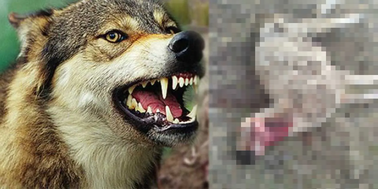 Kırıkkale’de korkunç olay! - Kırıkkale Haber, Son Dakika Kırıkkale Haberleri