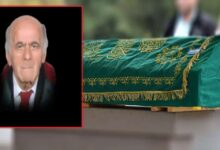 Bir çınar daha devrildi! - Kırıkkale Haber, Son Dakika Kırıkkale Haberleri