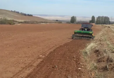 Yerli ve milli tohumlar toprakla buluştu - Kırıkkale Haber, Son Dakika Kırıkkale Haberleri Yerli ve milli tohumlar toprakla buluştu - Kırıkkale Haber, Son Dakika Kırıkkale Haberleri