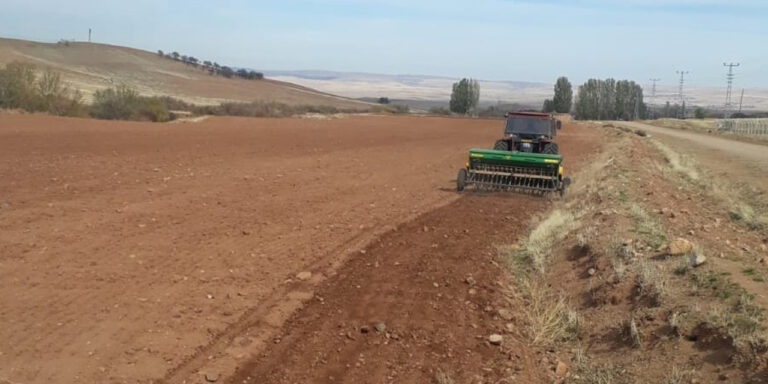 Yerli ve milli tohumlar toprakla buluştu - Kırıkkale Haber, Son Dakika Kırıkkale Haberleri