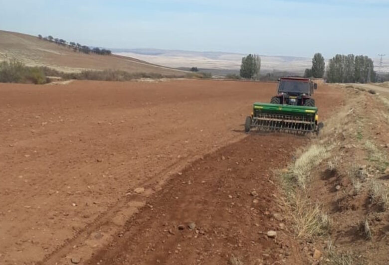 Yerli ve milli tohumlar toprakla buluştu - Kırıkkale Haber, Son Dakika Kırıkkale Haberleri