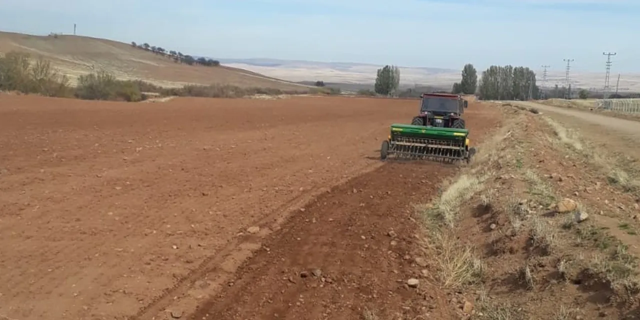 Yerli ve milli tohumlar toprakla buluştu - Kırıkkale Haber, Son Dakika Kırıkkale Haberleri
