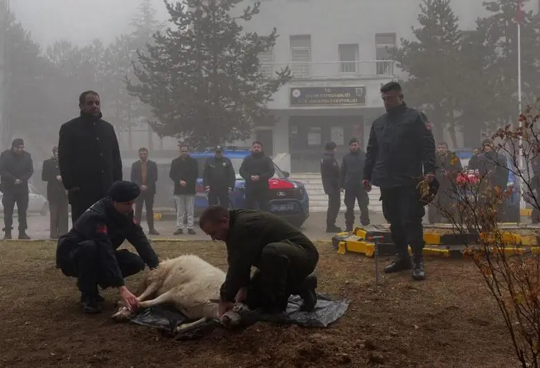 Çelebi’de Jandarma Komutanlığı’nda araçlar tahsis edildi - Kırıkkale Haber, Son Dakika Kırıkkale Haberleri