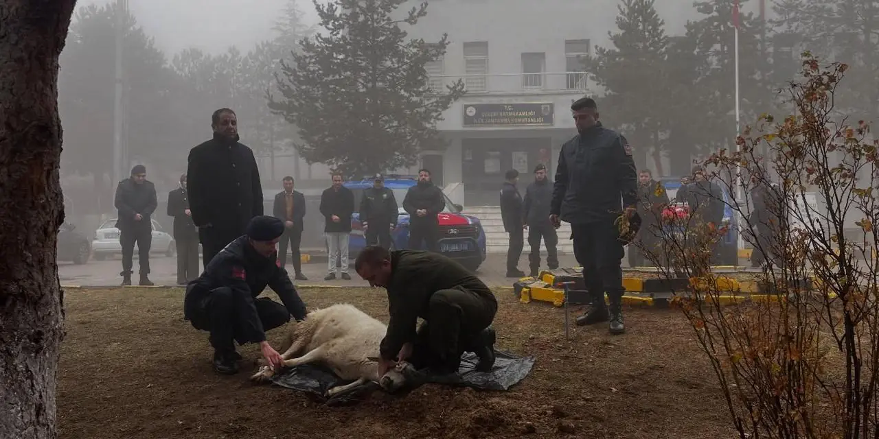 Çelebi’de Jandarma Komutanlığı’nda araçlar tahsis edildi - Kırıkkale Haber, Son Dakika Kırıkkale Haberleri