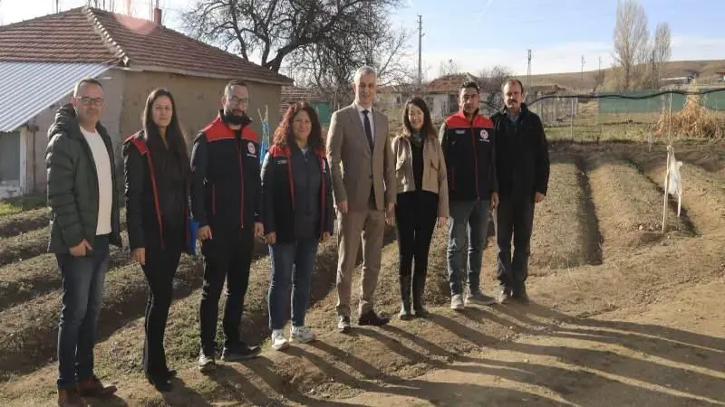 Kırıkkale'de SAFRAN Hasadı Yapıldı - Kırıkkale Haber, Son Dakika Kırıkkale Haberleri