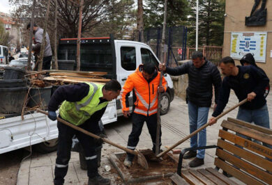 Kırıkkale’nin her bölgesi bu yıl ıhlamur kokacak - Kırıkkale Haber, Son Dakika Kırıkkale Haberleri