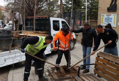 Kırıkkale’nin her bölgesi bu yıl ıhlamur kokacak - Kırıkkale Haber, Son Dakika Kırıkkale Haberleri Kırıkkale’nin her bölgesi bu yıl ıhlamur kokacak - Kırıkkale Haber, Son Dakika Kırıkkale Haberleri
