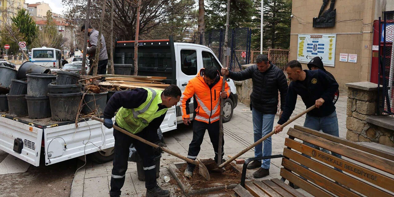 Kırıkkale’nin her bölgesi bu yıl ıhlamur kokacak - Kırıkkale Haber, Son Dakika Kırıkkale Haberleri