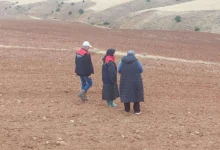 Kırıkkale'de Tarım Destekleri karış karış denetleniyor! - Kırıkkale Haber, Son Dakika Kırıkkale Haberleri