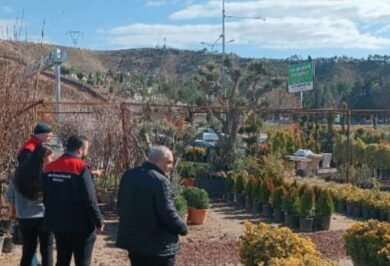 Kırıkkale'de fidan satışlarına sıkı denetim - Kırıkkale Haber, Son Dakika Kırıkkale Haberleri