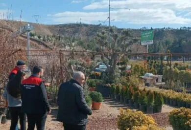 Kırıkkale'de fidan satışlarına sıkı denetim - Kırıkkale Haber, Son Dakika Kırıkkale Haberleri