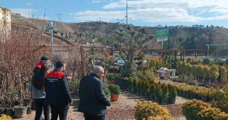 Kırıkkale'de fidan satışlarına sıkı denetim - Kırıkkale Haber, Son Dakika Kırıkkale Haberleri