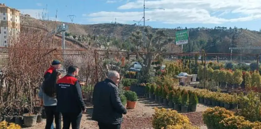 Kırıkkale'de fidan satışlarına sıkı denetim - Kırıkkale Haber, Son Dakika Kırıkkale Haberleri