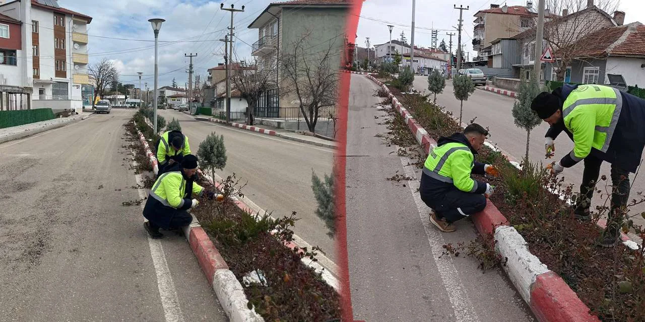 Sulakyurt’un vitrinine bahar dokunuşu: Güller budanıyor, şehir nefes - Kırıkkale Haber, Son Dakika Kırıkkale Haberleri