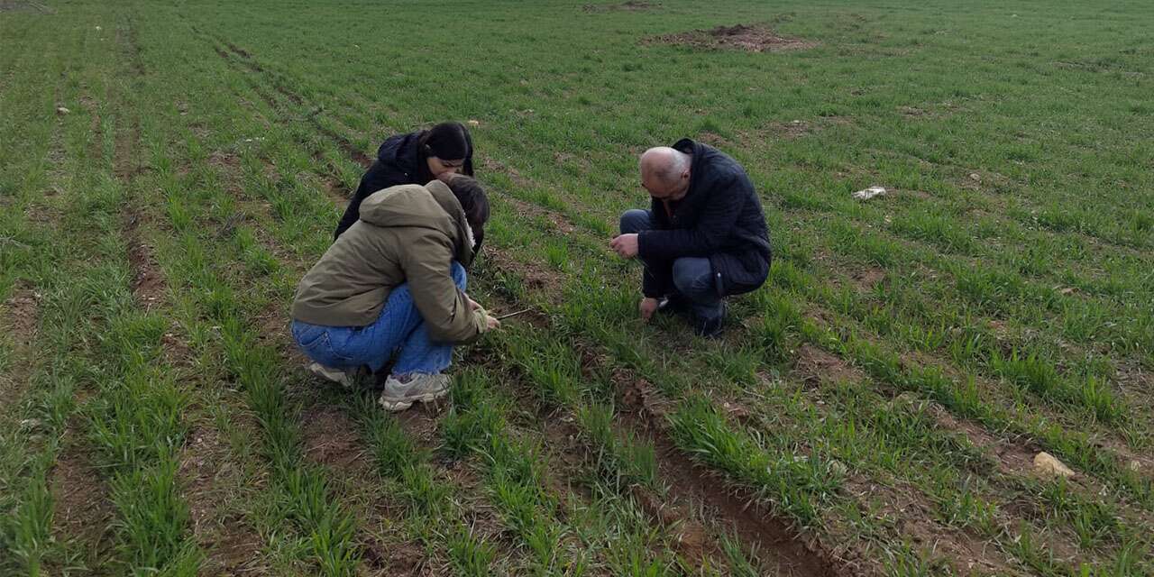 Tarım arazilerinin üretim durumuna sıkı takip! - Kırıkkale Haber, Son Dakika Kırıkkale Haberleri