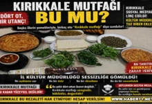 Dört Ot,Bir Utanç ; İl Kültür Müdürlüğü Kimin Hizmetinde - Kırıkkale Haber, Son Dakika Kırıkkale Haberleri