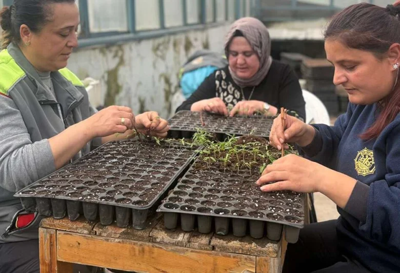 Kırıkkale’de 400 bin fide ücretsiz dağıtılacak - Kırıkkale Haber, Son Dakika Kırıkkale Haberleri Kırıkkale’de 400 bin fide ücretsiz dağıtılacak - Kırıkkale Haber, Son Dakika Kırıkkale Haberleri