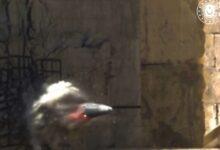 MKE’den büyük bomba - Kırıkkale Haber, Son Dakika Kırıkkale Haberleri