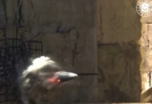 MKE’den büyük bomba - Kırıkkale Haber, Son Dakika Kırıkkale Haberleri