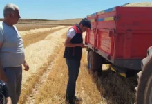 Delice’de hasat sevinci! - Kırıkkale Haber, Son Dakika Kırıkkale Haberleri Delice’de hasat sevinci! - Kırıkkale Haber, Son Dakika Kırıkkale Haberleri