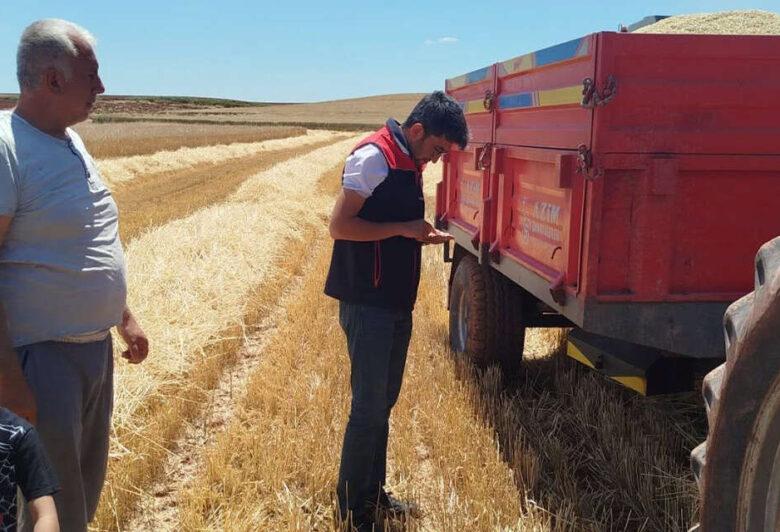 Delice’de hasat sevinci! - Kırıkkale Haber, Son Dakika Kırıkkale Haberleri Delice’de hasat sevinci! - Kırıkkale Haber, Son Dakika Kırıkkale Haberleri
