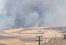 Delice’de Ekili Arazilerde Yangın (Video-Haber) - Kırıkkale Haber, Son Dakika Kırıkkale Haberleri