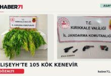 Kırıkkale Haber, Son Dakika Kırıkkale Haberleri Haber71 kapağı: Balışeyh’te 105 kök kenevir ve silah ele geçirildiğini aktaran iki fotoğraflı haber görseli.