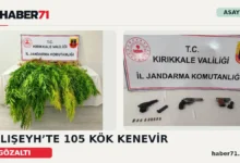 Kırıkkale Haber, Son Dakika Kırıkkale Haberleri Haber71 kapağı: Balışeyh’te 105 kök kenevir ve silah ele geçirildiğini aktaran iki fotoğraflı haber görseli.