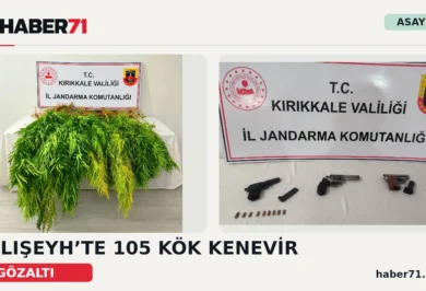 Kırıkkale Haber, Son Dakika Kırıkkale Haberleri Haber71 kapağı: Balışeyh’te 105 kök kenevir ve silah ele geçirildiğini aktaran iki fotoğraflı haber görseli.