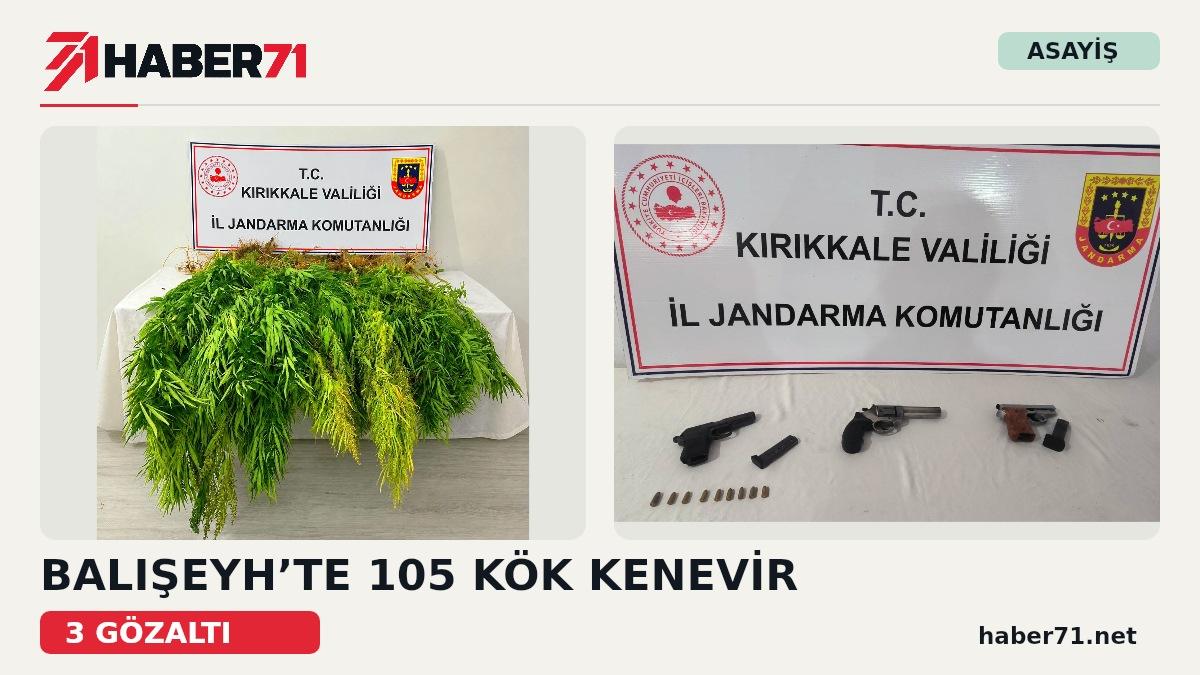 Kırıkkale Haber, Son Dakika Kırıkkale Haberleri Haber71 kapağı: Balışeyh’te 105 kök kenevir ve silah ele geçirildiğini aktaran iki fotoğraflı haber görseli.