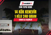 EVİN tepki verdi, bahçeden uyuşturucu çıktı: Hacılar’da jandarma araması Haber71: EVİN’in tepkisi üzerine 14 kök kenevir ve 1 kilo 240 gram esrar ele geçirildi