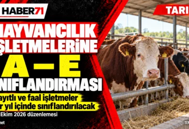 Hayvancılık işletmelerine A–E sınıflandırması: Bir yıllık geçiş süreci Hayvancılık işletmelerine A–E sınıflandırması: Bir yıllık geçiş süreci — Haber71 haber kapağı.