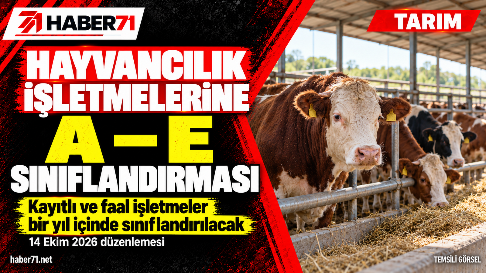 Hayvancılık işletmelerine A?E sınıflandırması: Bir yıllık geçiş süreci