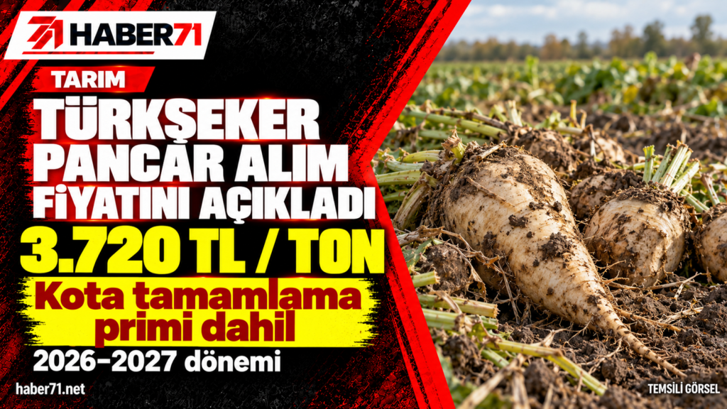 Türkşeker pancar alım fiyatını açıkladı: Kota primi dahil 3.720 TL/ton