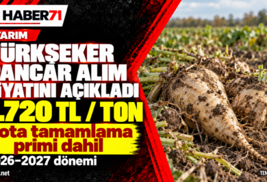 Türkşeker pancar alım fiyatını açıkladı: Kota primi dahil 3.720 TL/ton Türkşeker pancar alım fiyatını açıkladı: Kota primi dahil 3.720 TL/ton — Haber71 haber kapağı.