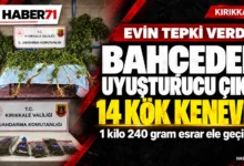 Haber71 kapak — Hacılar’da kenevir ve esrar ele geçirildi Haber71: Hacılar’da 14 kök kenevir ve 1 kilo 240 gram esrar ele geçirilmesi. Temsili görsel.