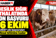 Kırıkkaleli besicilere hatırlatma: İthalat başvurusu 16 Ekim’de bitiyor — Haber71 kapağı 2027 yılı besilik sığır ithalatı başvurularında son tarihin 16 Ekim mesai bitimi olduğunu belirten Haber71 kapağı