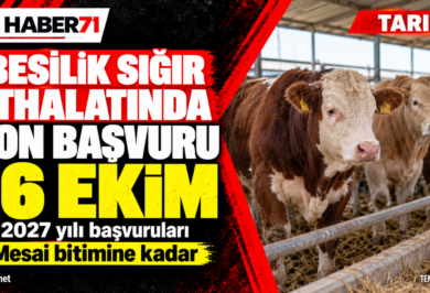 Kırıkkaleli besicilere hatırlatma: İthalat başvurusu 16 Ekim’de bitiyor — Haber71 kapağı 2027 yılı besilik sığır ithalatı başvurularında son tarihin 16 Ekim mesai bitimi olduğunu belirten Haber71 kapağı