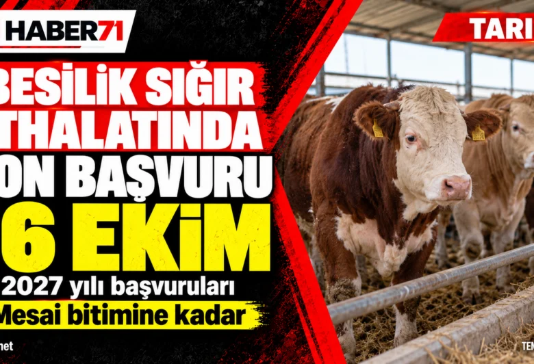 Kırıkkaleli besicilere hatırlatma: İthalat başvurusu 16 Ekim’de bitiyor — Haber71 kapağı 2027 yılı besilik sığır ithalatı başvurularında son tarihin 16 Ekim mesai bitimi olduğunu belirten Haber71 kapağı