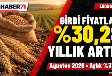 Tarımsal girdi fiyatları ağustosta yıllık yüzde 30,28 arttı Tarımsal girdi fiyatları ağustosta yıllık yüzde 30,28 arttı