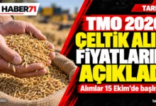 TMO 2026 çeltik fiyatlarını açıkladı: Alımlar 15 Ekim’de — Haber71 kapağı TMO 2026 çeltik alım fiyatlarının açıklandığını ve alımların 15 Ekim’de başlayacağını belirten Haber71 kapağı
